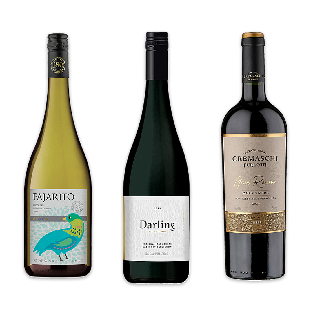 Chilean Wine Delights | Mixed 3-Pack