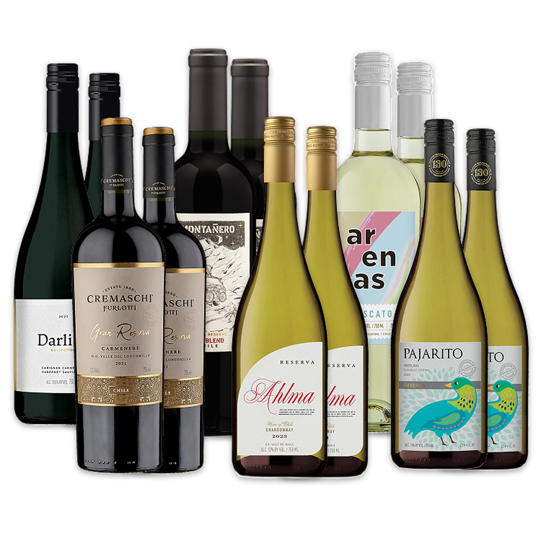 Chilean Wine Explorer