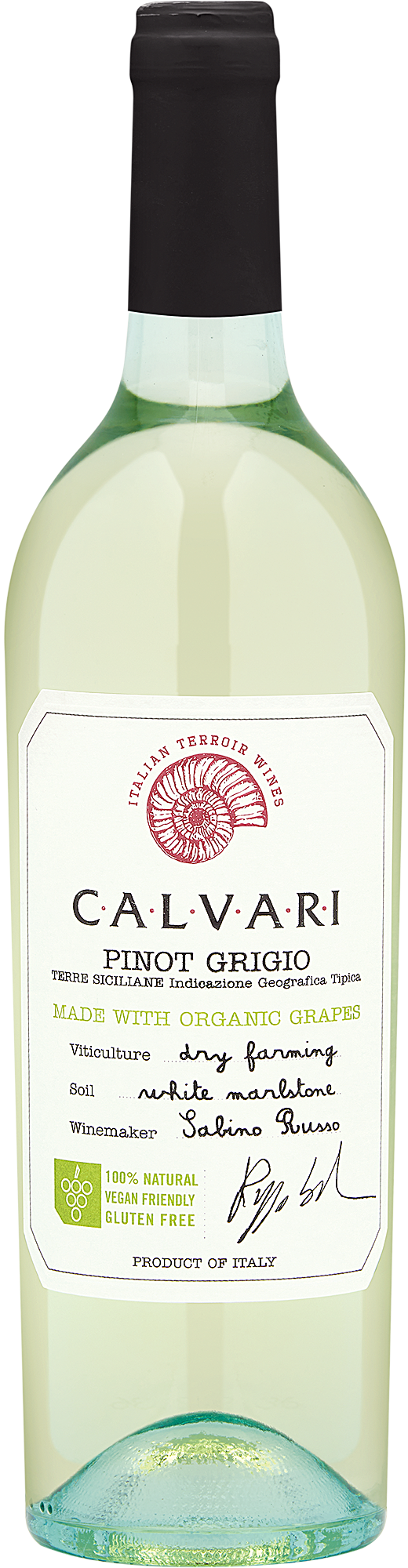 2024 Calvari Organic Pinot Grigio I.G.T.